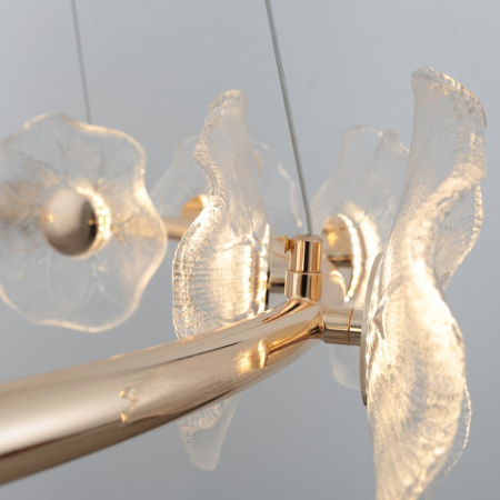 Фото Подвесная люстра Rivoli Shannon Б0061947