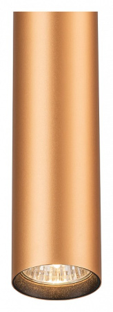 Фото Подвесной светильник Escada 20001 20001TRP/01 BR