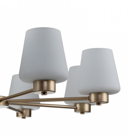 Открыть Подвесная люстра Indigo Tulip 13004/8P Gold Фото Подвесная люстра Indigo Tulip 13004/8P Gold