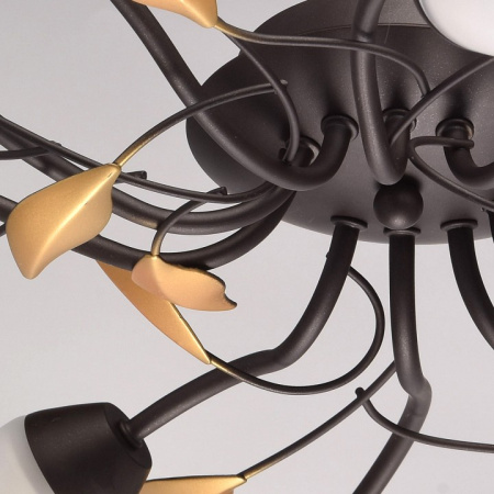 Фото Потолочная люстра MW-Light Восторг 15 242015410