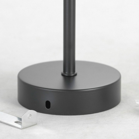 Фото Люстра на штанге Lussole Fishers LSP-8798