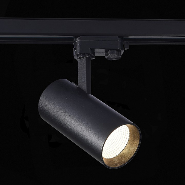 Фото Светильник на штанге ST-Luce ST661 ST661.436.30