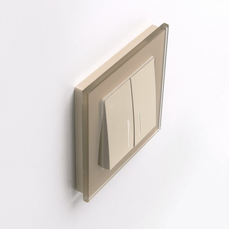 Фото Выключатель двухклавишный с подсветкой без рамки Werkel шампань W1120111