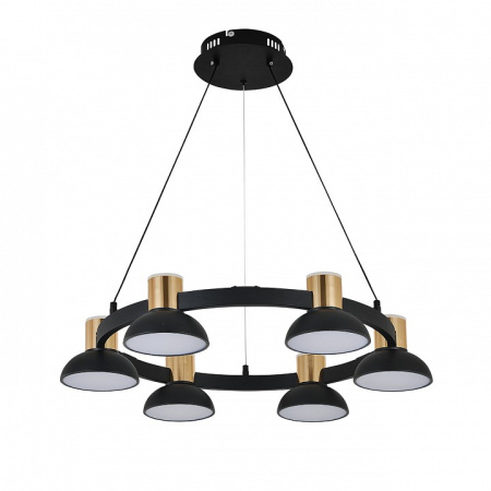 Открыть Подвесная люстра Indigo Traforo 11059/6P Black Фото Подвесная люстра Indigo Traforo 11059/6P Black