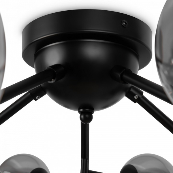 Фото Потолочная люстра Maytoni Dallas MOD545CL-20B