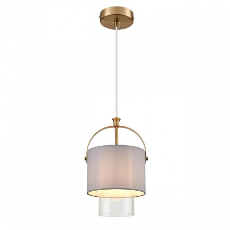 Фото Подвесной светильник Lumion Jane 6592/1