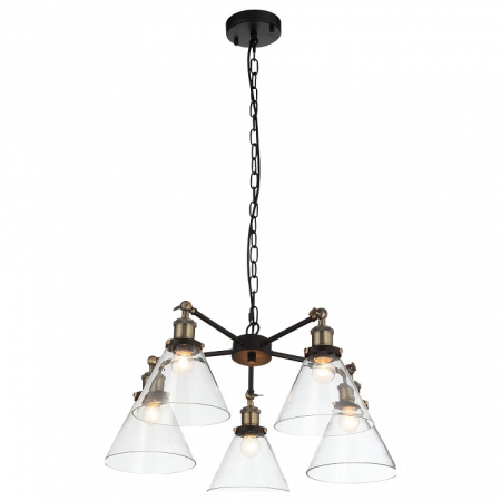 Фото Подвесная люстра ST-Luce Evoluto SL237.413.05