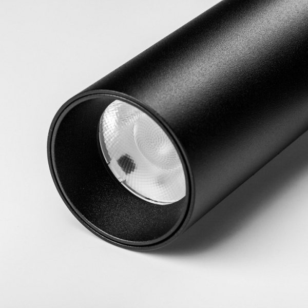 Фото Светильник на штанге Lightstar DUE 207237