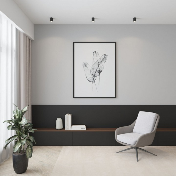 Фото Накладной светильник Denkirs NEAT DK3110-BK