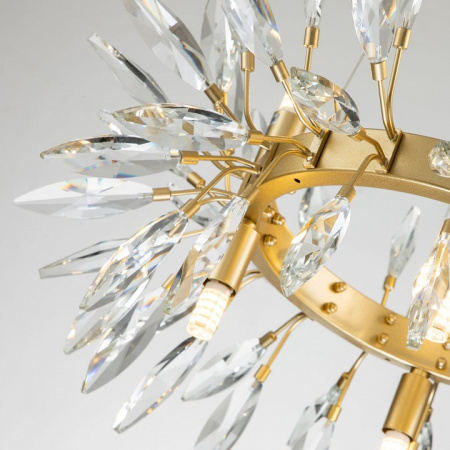 Фото Подвесная люстра Favourite Rays 4058-8P