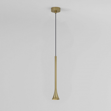 Фото Подвесной светильник Elektrostandard Hall a068821