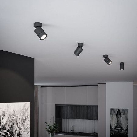 Фото Светильник на штанге Elektrostandard Niro a065463