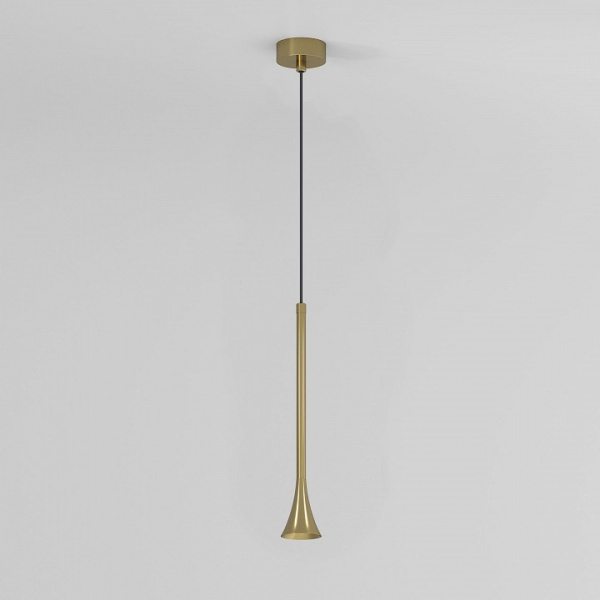 Фото Подвесной светильник Elektrostandard Hall a068821