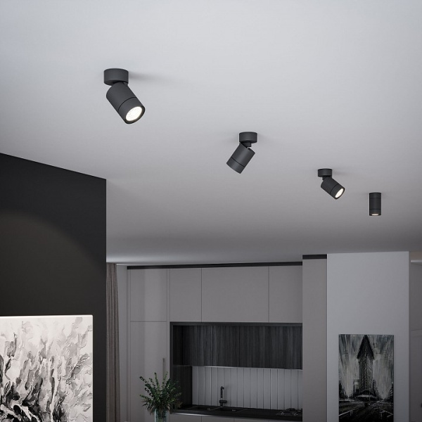 Фото Светильник на штанге Elektrostandard Niro a065463