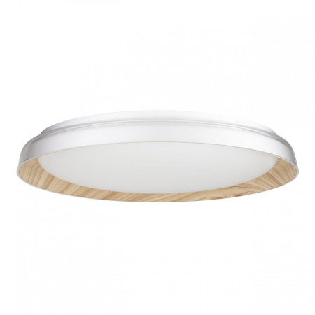 Фото Накладной светильник Citilux MEGA CL752452G