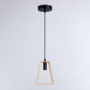Открыть Подвесной светильник Ambrella Light TR TR80497 Фото Подвесной светильник Ambrella Light TR TR80497