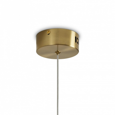 Фото Подвесной светильник Freya Lolli FR6139PL-L8BS