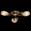 Фото Потолочная люстра MW-Light Фиеста 10 267012803