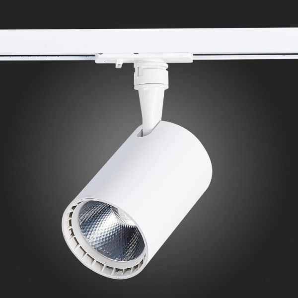 Фото Светильник на штанге ST-Luce Cami ST351.546.20.36