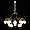 Фото Подвесная люстра Aployt Eloiz APL.839.03.15