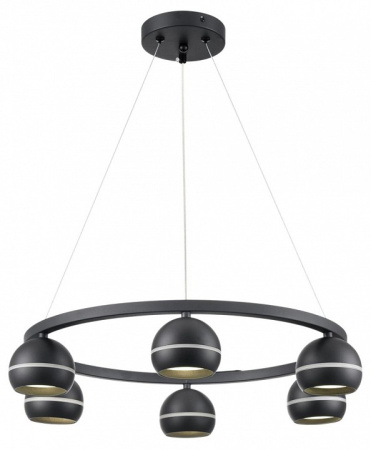 Фото Подвесная люстра Lumion Luazana 8242/6