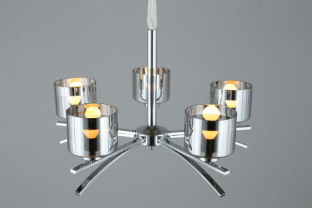 Фото Подвесная люстра Omnilux Alassio OML-55803-05