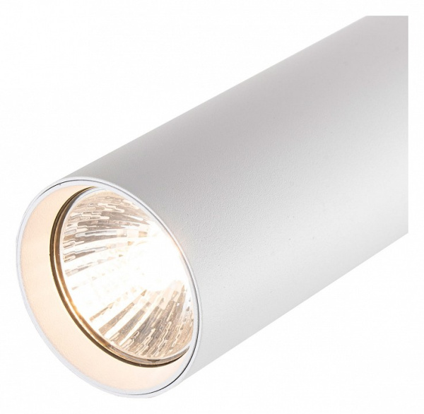 Фото Светильник на штанге Escada 20001 20001TRA/02 SWH