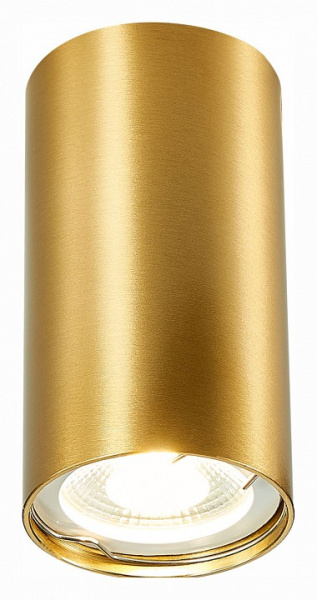 Фото Накладной светильник ST-Luce ST110 ST110.207.01