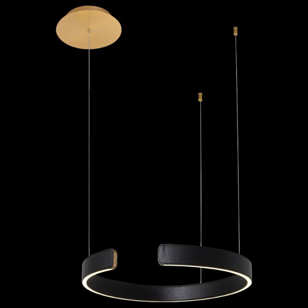 Фото Подвесной светильник Loft it Ring 10025/400 Black