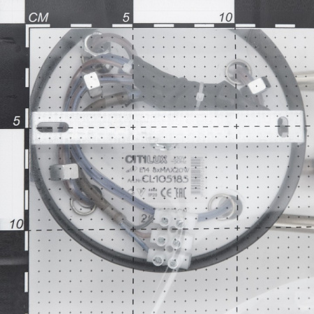 Фото Люстра на штанге Citilux Планета CL105185