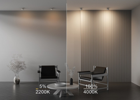 Фото Встраиваемый светильник Maytoni Onda DL024-12W-DTW-W