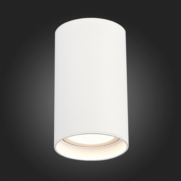 Фото Накладной светильник ST-Luce ST157 ST157.532.20