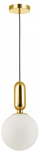 Фото Подвесной светильник Odeon Light Okia 4669/1