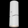 Фото Накладной светильник Maytoni Tube C019CW-01W