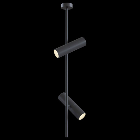 Фото Светильник на штанге Maytoni Elti C021CL-02B