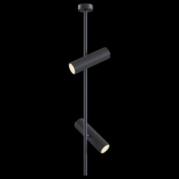 Фото Светильник на штанге Maytoni Elti C021CL-02B