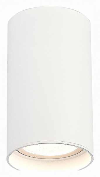 Фото Накладной светильник ST-Luce ST157 ST157.542.20