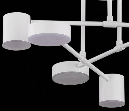 Фото Потолочная люстра EVOLUCE Nobel SLE201052-06