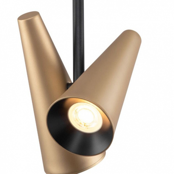 Фото Светильник на штанге Maytoni Giro MOD095CL-02BS