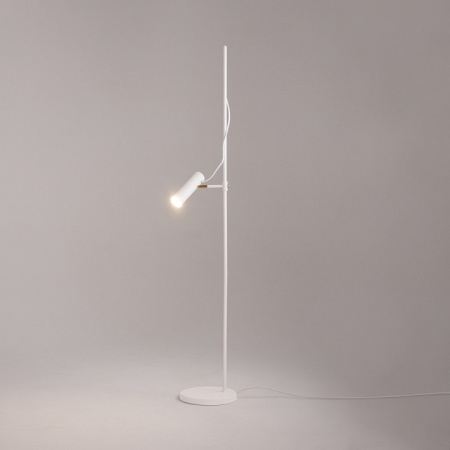 Фото Торшер Maytoni Bansky MOD129FL-01W