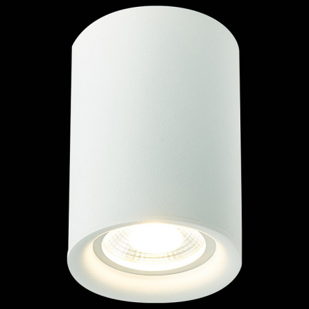 Фото Накладной светильник ST-Luce ST114 ST114.507.01