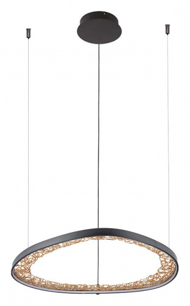 Фото Подвесной светильник Arte Lamp Cinta A1847SP-36BK
