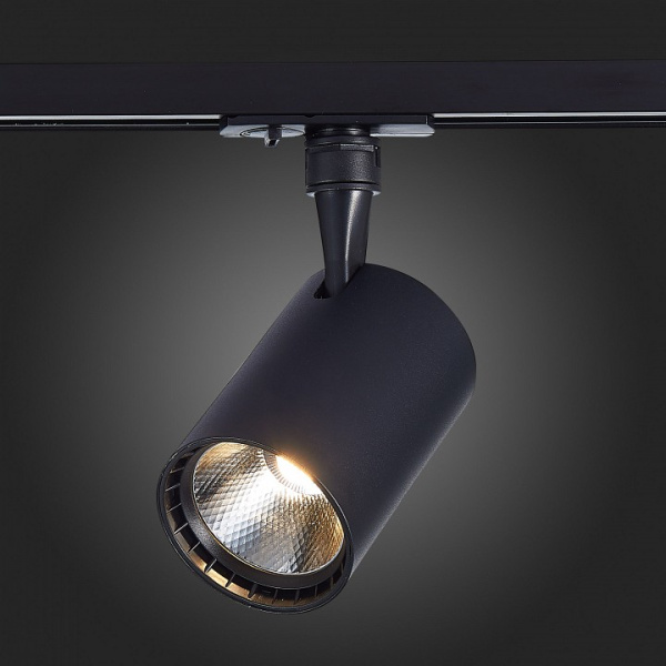 Фото Светильник на штанге ST-Luce Cami ST351.436.30.36