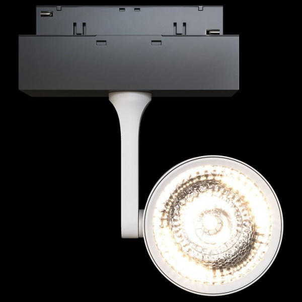 Фото Светильник на штанге Maytoni Track lamps 3 TR024-2-10W4K