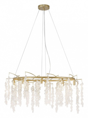 Фото Подвесная люстра Favourite Desmi 4108-8C