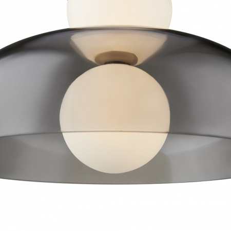 Фото Подвесной светильник Freya Frisky FR5385PL-L17B