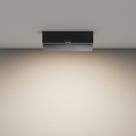 Фото Накладной светильник Maytoni Basis Rot C133CL-12W4K-B