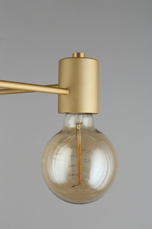 Фото Потолочная люстра Aployt Elison APL.911.07.05