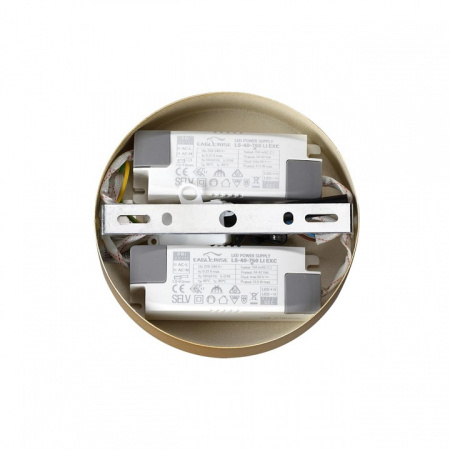 Фото Подвесная люстра Lumion Parker 6564/60L