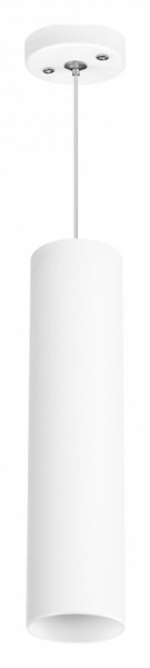 Фото Подвесной светильник Lightstar Rullo RP496